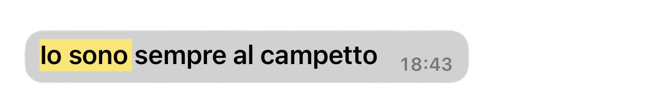 immagine scomposta