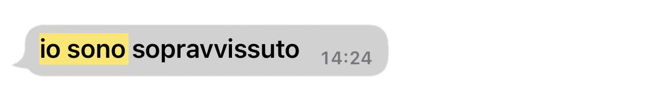 immagine scomposta