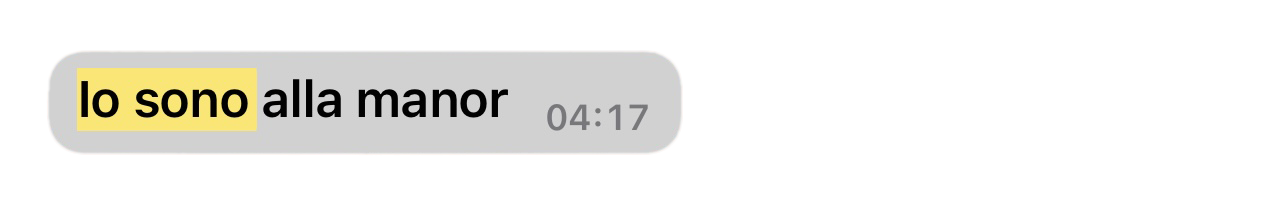 immagine scomposta