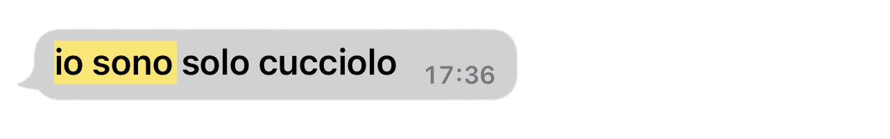 immagine scomposta