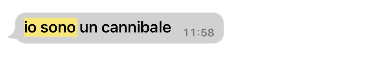 immagine scomposta