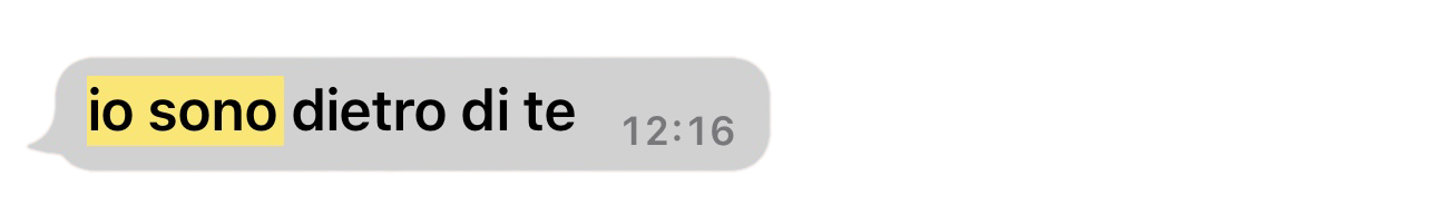 immagine scomposta