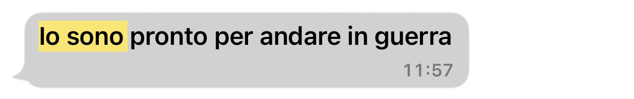 immagine scomposta
